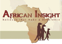 African_insight